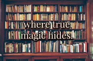 magic hides